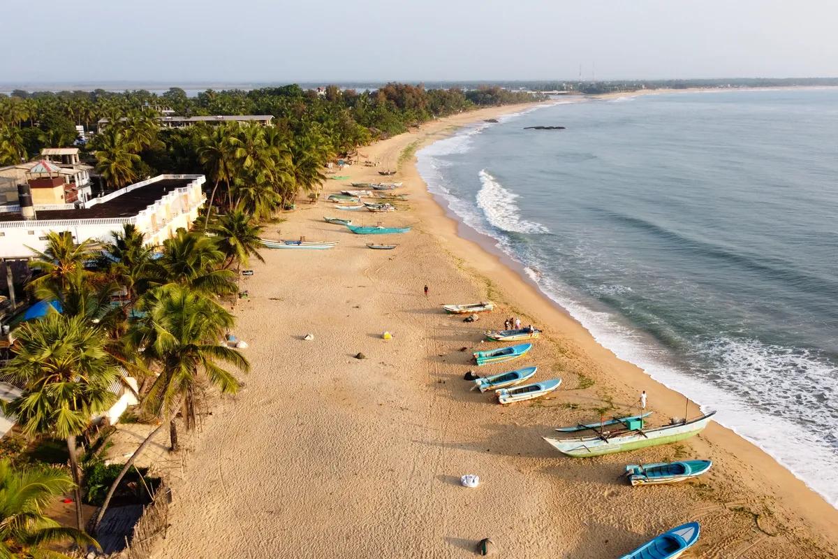 Aerial view of the palm-lined beach and fishing boats at Arugam Bay