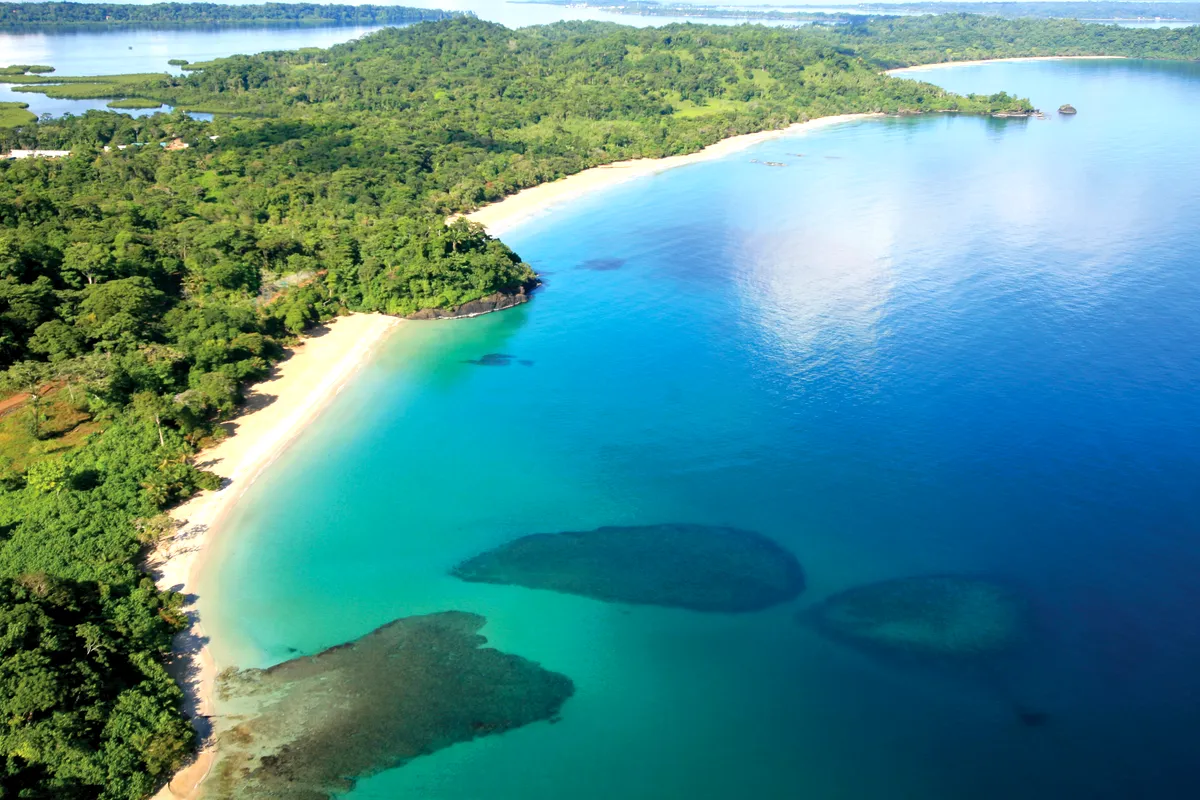 Aerial view of the forested shore and turquoise bay at Red Frog Beach, Isla Bastimentos