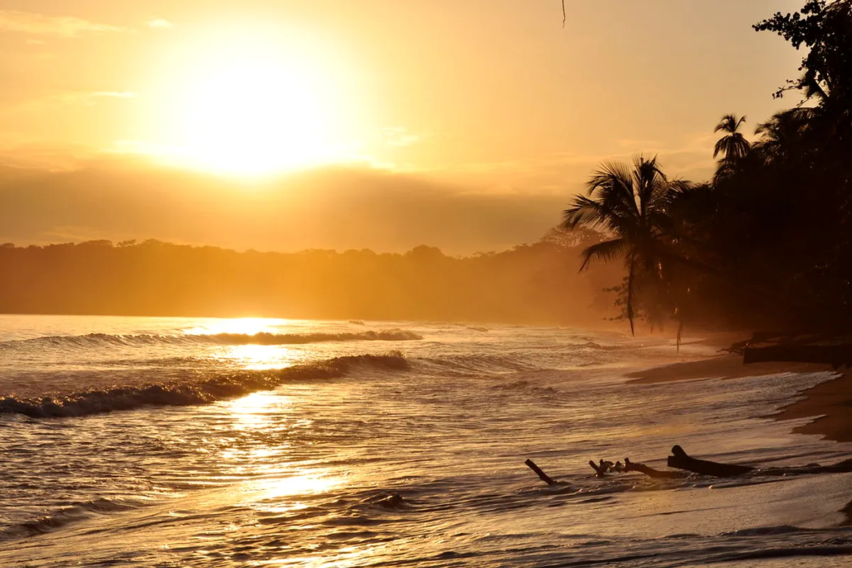 Golden sunrise over the palm-lined beach at Cahuita on Costa Rica's Caribbean coast