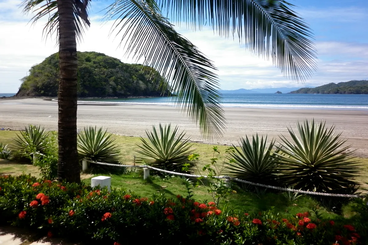 A palm-framed beach and offshore island in Panama