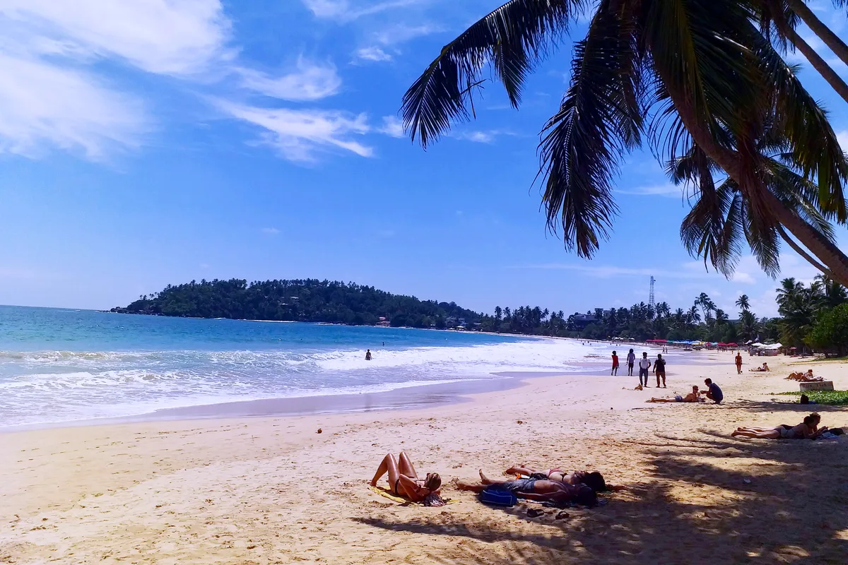 Palm trees and sand at Mirissa Beach, Sri Lanka