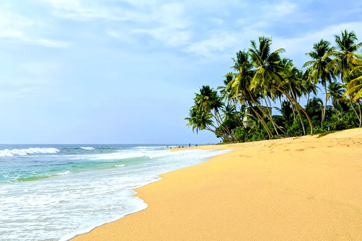 Palm trees and golden sand on Hikkaduwa beach, Sri Lanka