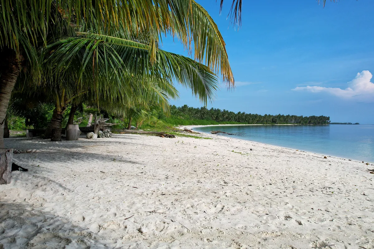 A palm-fringed white-sand beach in the Mentawai Islands