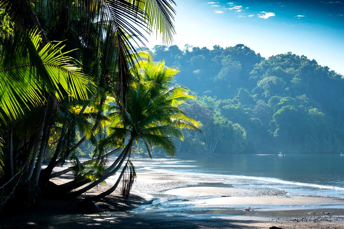 Palm-fringed beach and rainforest on the Golfo Dulce near Golfito, the gateway to Pavones