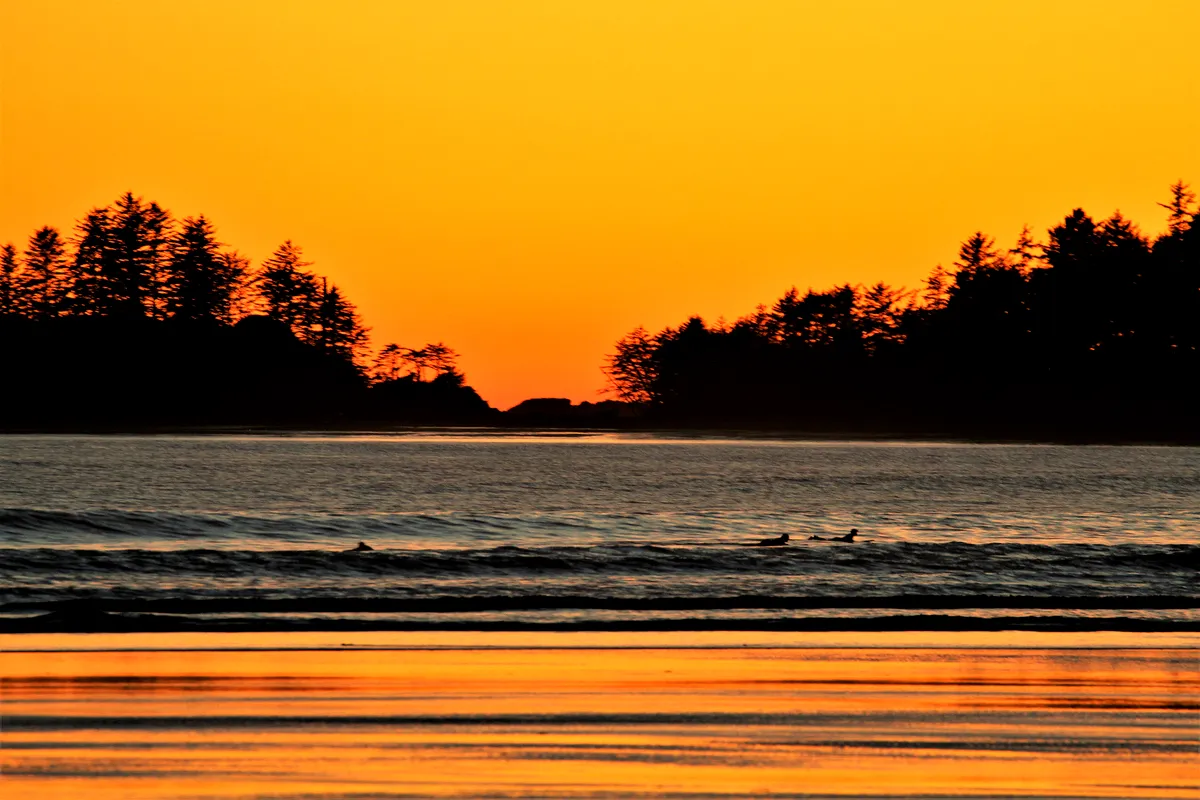 A surfer silhouetted on a wave at sunset in Tofino
